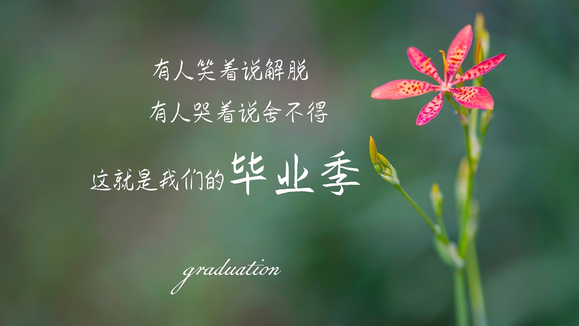 《环境之战：绿色电竞比赛倡导低碳出行》，绿色环保知识竞赛