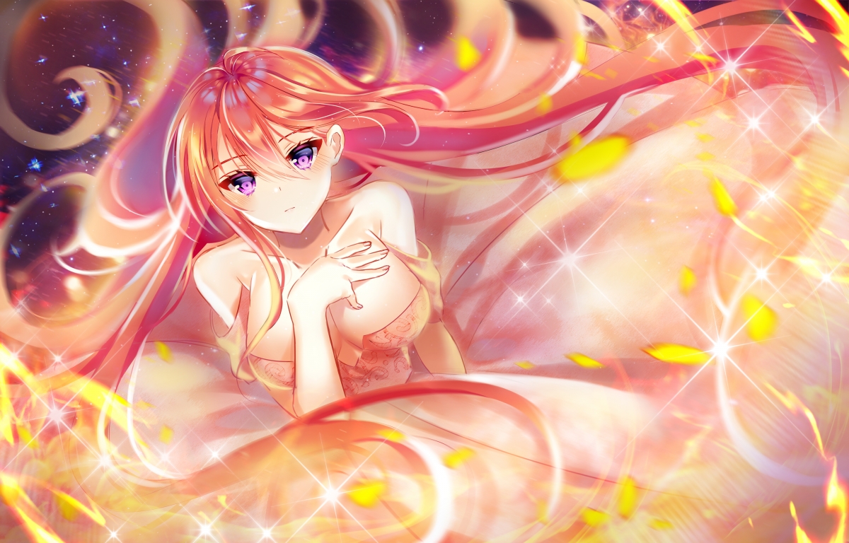 传统猎鹰飞行比赛,古老技艺焕发新光彩,猎鹰的飞行器