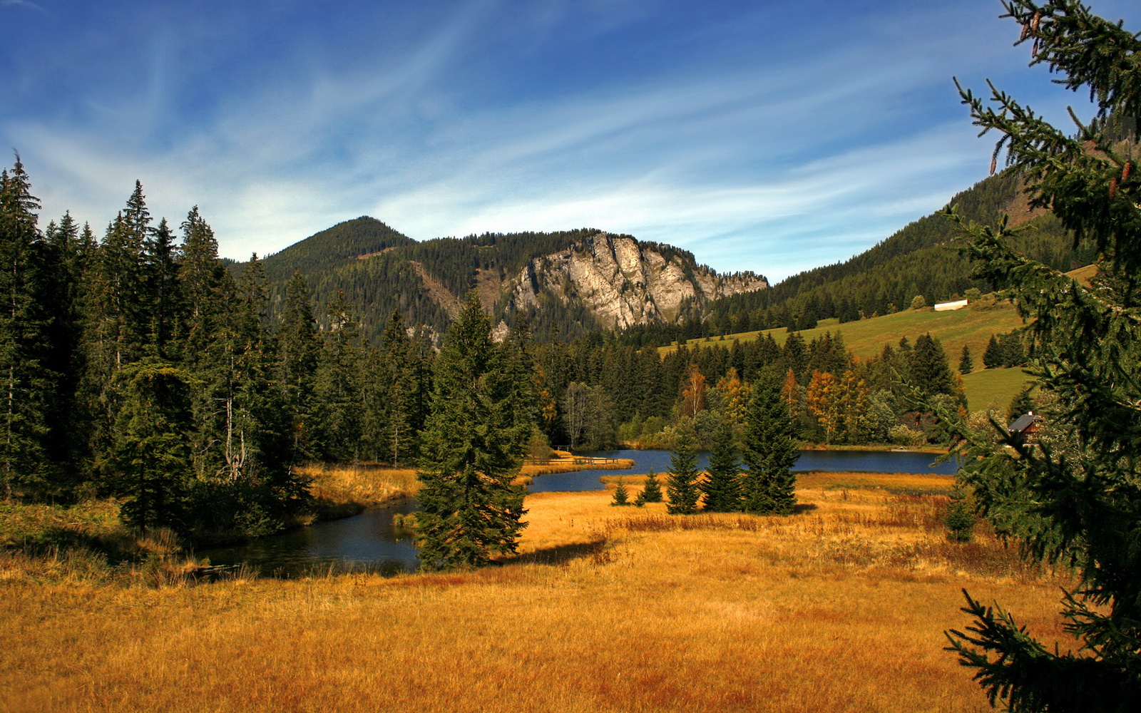 开云网页版登录入口-塞内加尔男足在巴黎奥运会比赛中以1-0战胜意大利，塞内加尔足球运动员