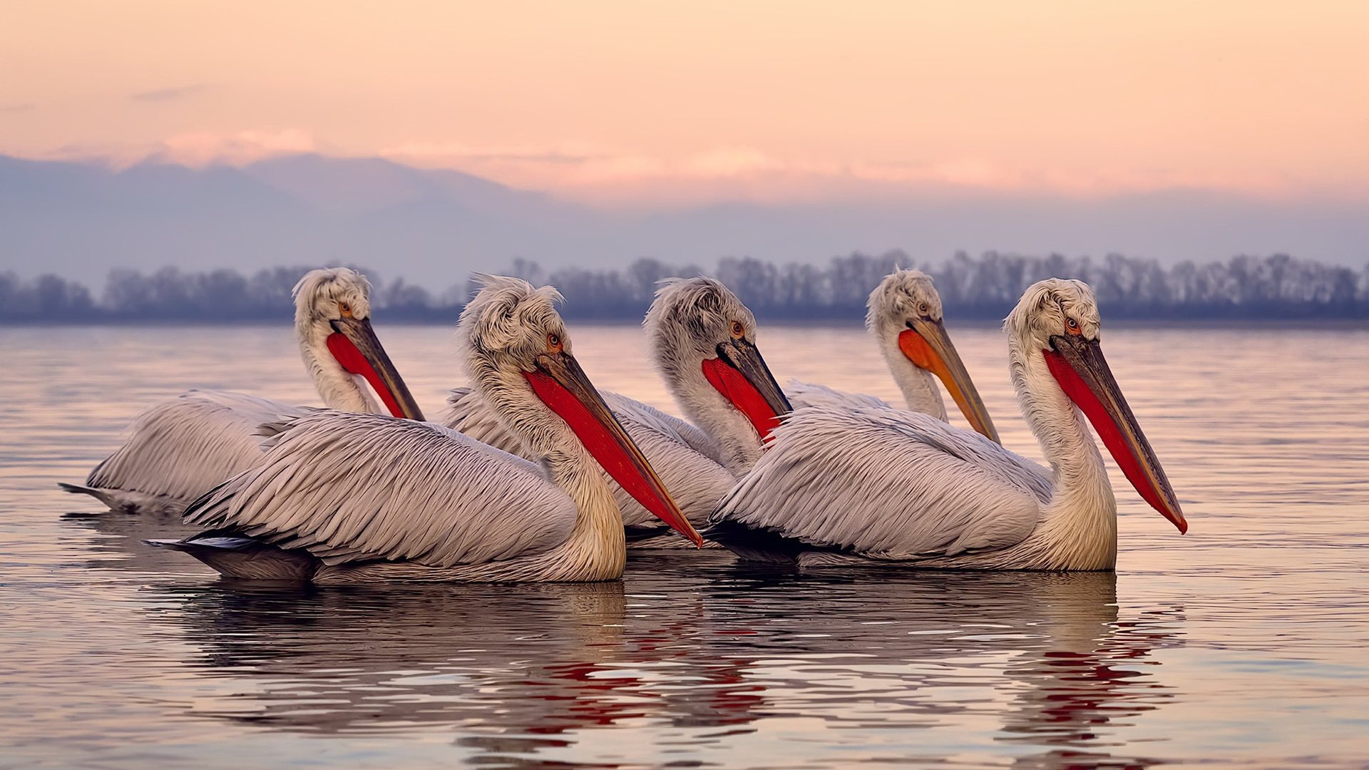 开云官方-布鲁诺·卡博克洛（Bruno Caboclo）在巴黎奥运会小组赛中表现出色，带领巴西队击败日本队
