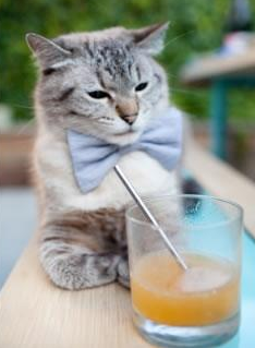 竞技+娱乐:打造多样娱乐体验的电竞场景探索,电竞娱乐产业