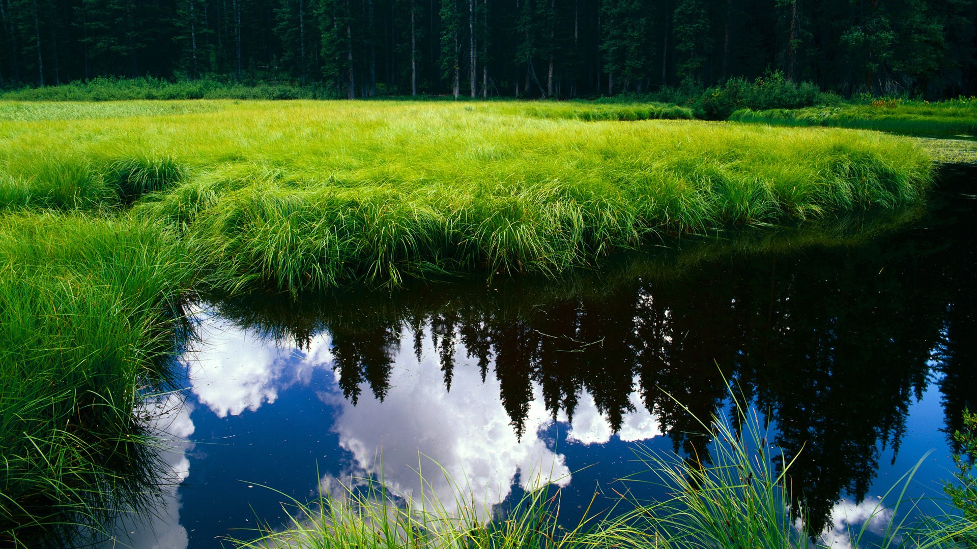 逆境中的闪耀:那些从低谷中奋起的篮球英雄,篮球人的奋斗史