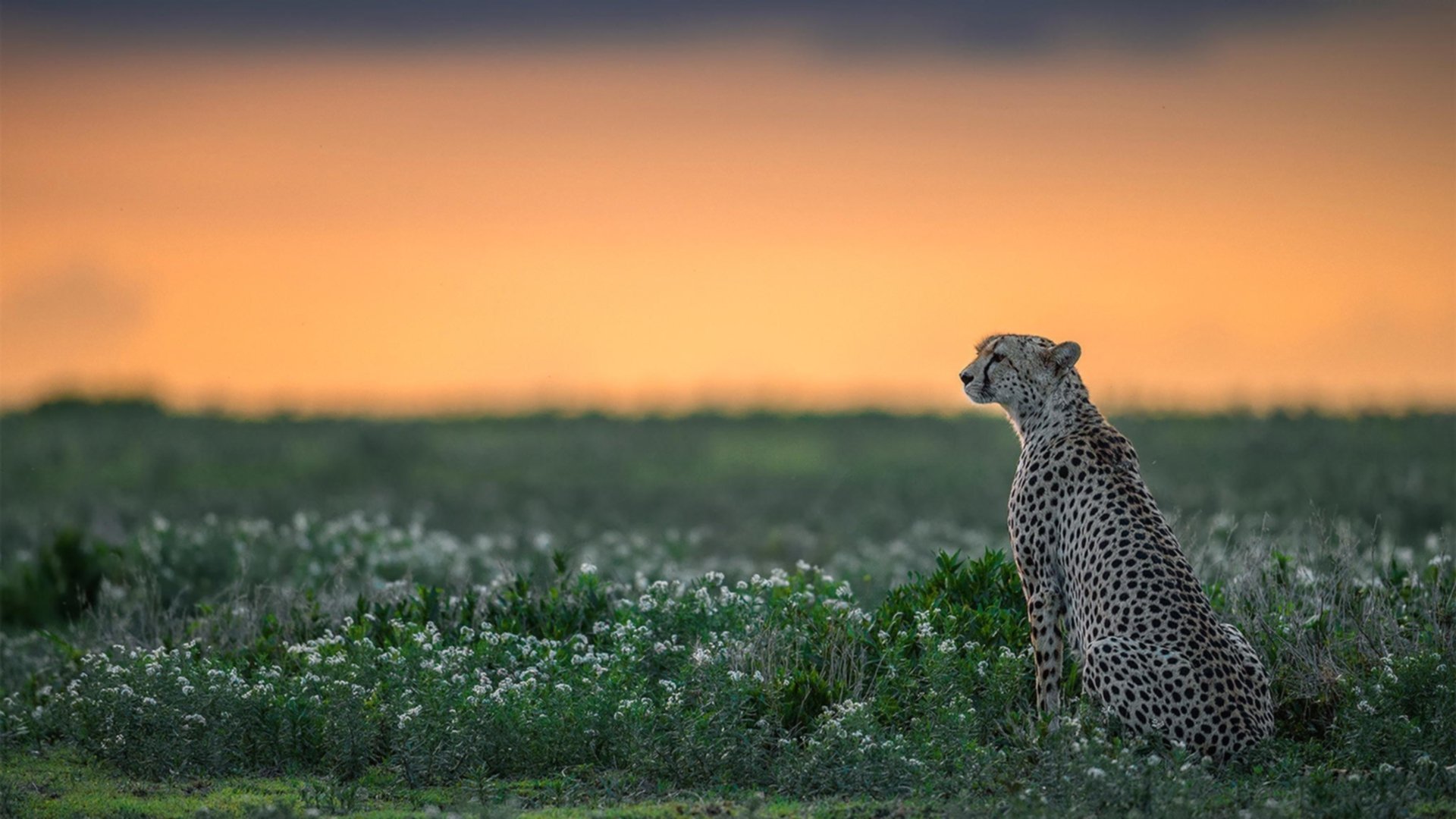 CS_GO赛事回归线下引热议,csgo比赛回合