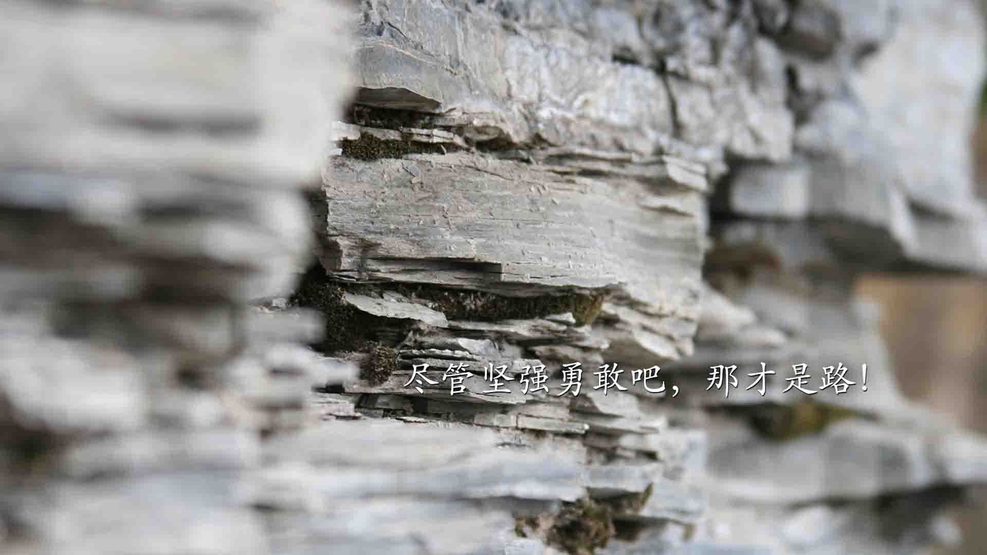 开云中国-PSG.LGD战术布置引发热议，lgd psg