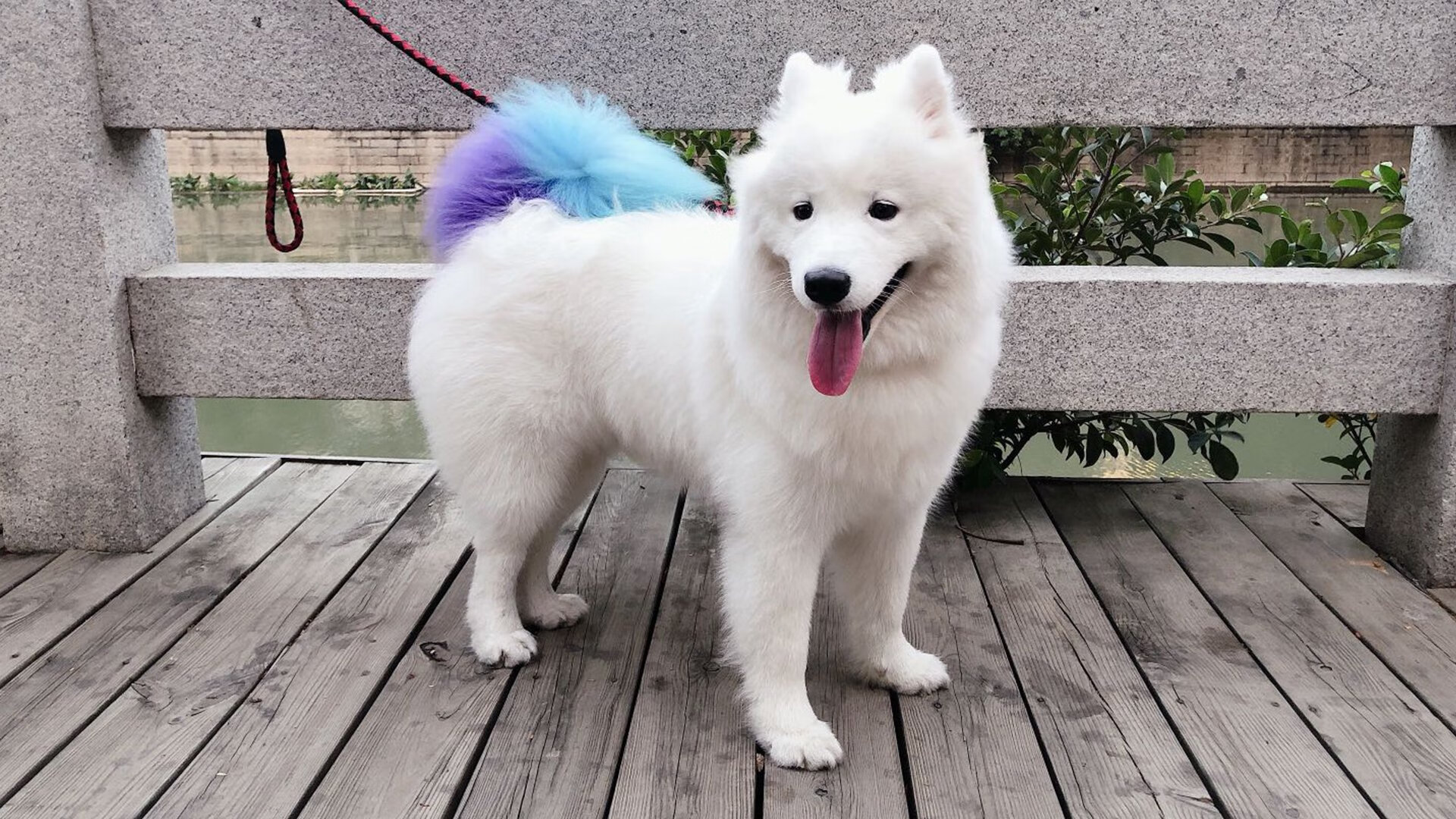 伊朗队中场贝尔特拉在巴黎奥运会上展现出强大的进攻组织能力,伊朗拉什特