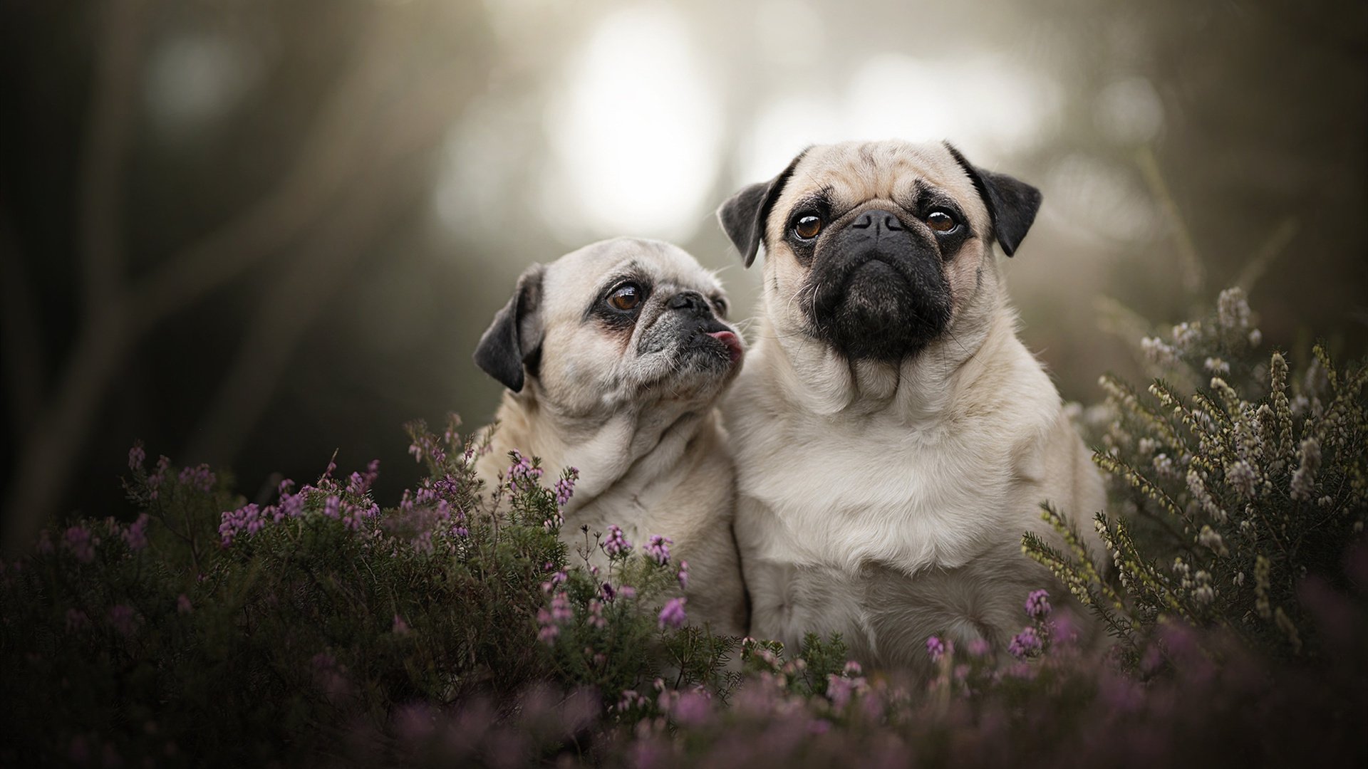 开云·Kaiyun网页版-体育界的亮点：女足赛场上的精彩瞬间！，女足励志