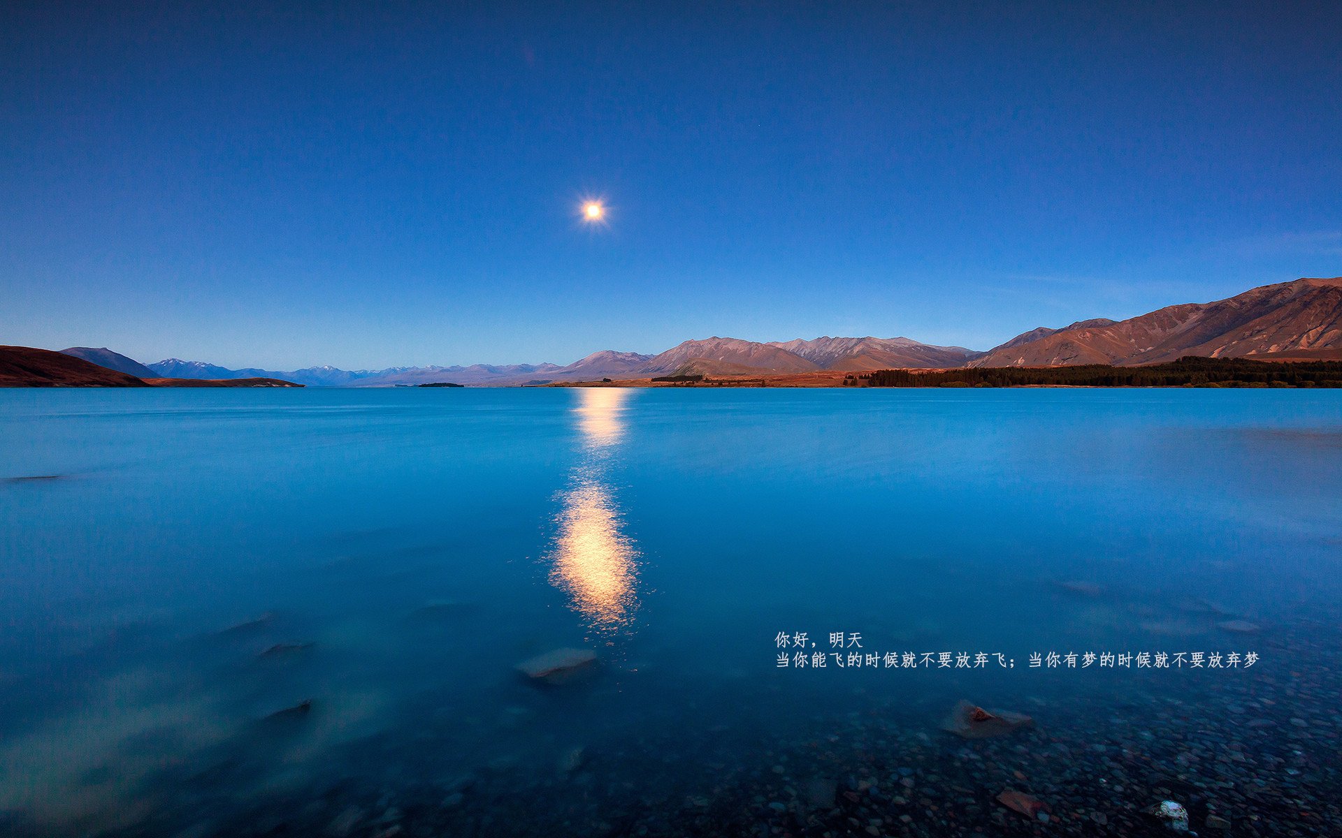 决赛看点:阿根廷对决卫冕冠军,阿根廷决赛直播