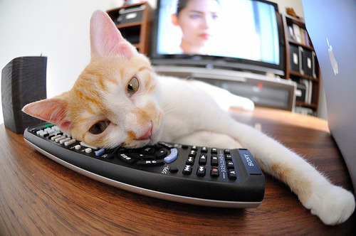 凯撒酋长与阿尔萨德达成球员交换协议，凯撒酋长与阿尔萨德达成球员交换协议了吗