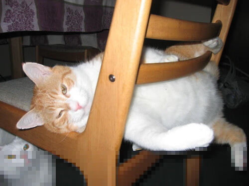 kaiyun网站-切尔西双星反戈巴萨，引发交易风暴，切尔西绝杀巴萨